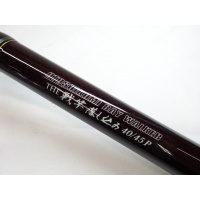 １６戦竿落とし込み ４０／４５Ｐ